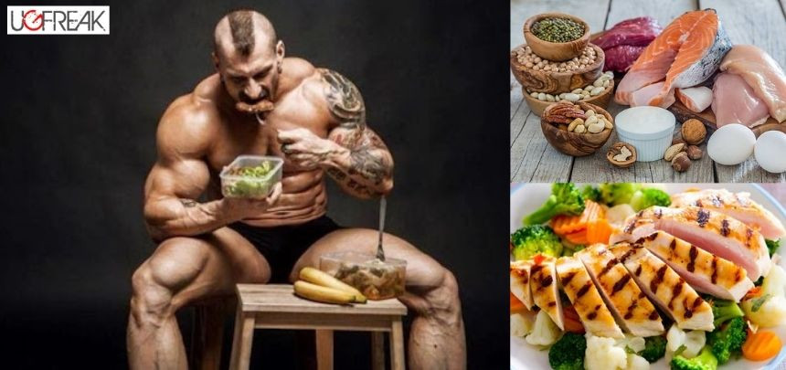 How Do You Eat When You’re On a Steroid Cycle? A Complete Guide