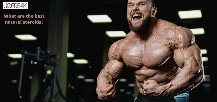 What are the best natural steroids?