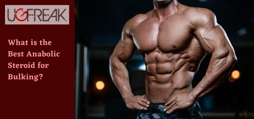 What is the Best Anabolic Steroid for Bulking?